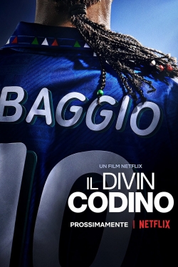 Baggio: The Divine Ponytail